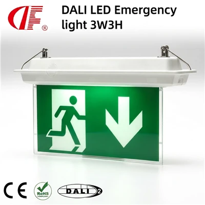 DALI-2 LED avariiväljapääsu tuli 3 W 3 tundi varuvalgustus automaatse testimisfunktsiooniga